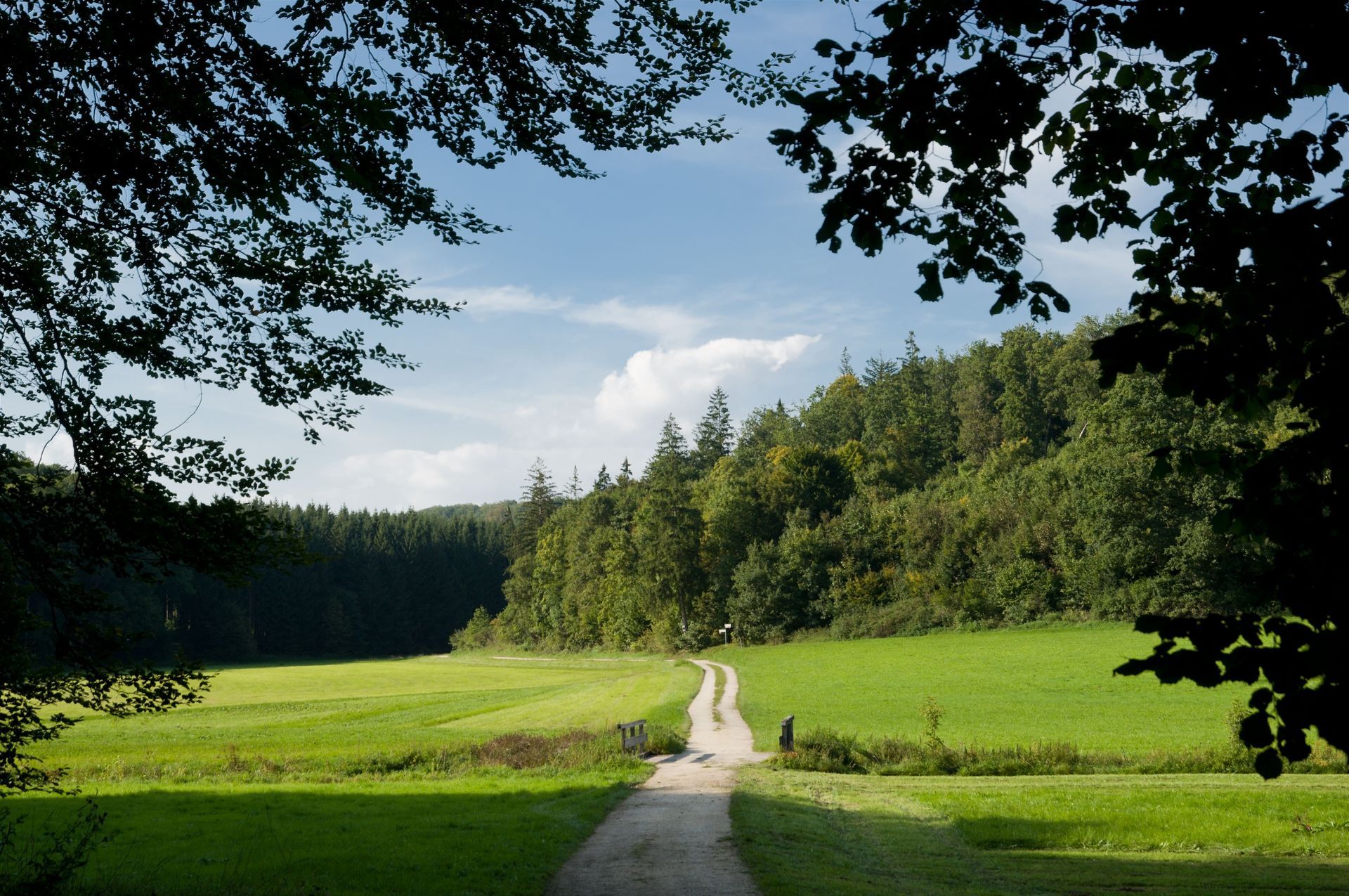 Landscape in the Lone valley (Lonetal) with meadows, forest and 