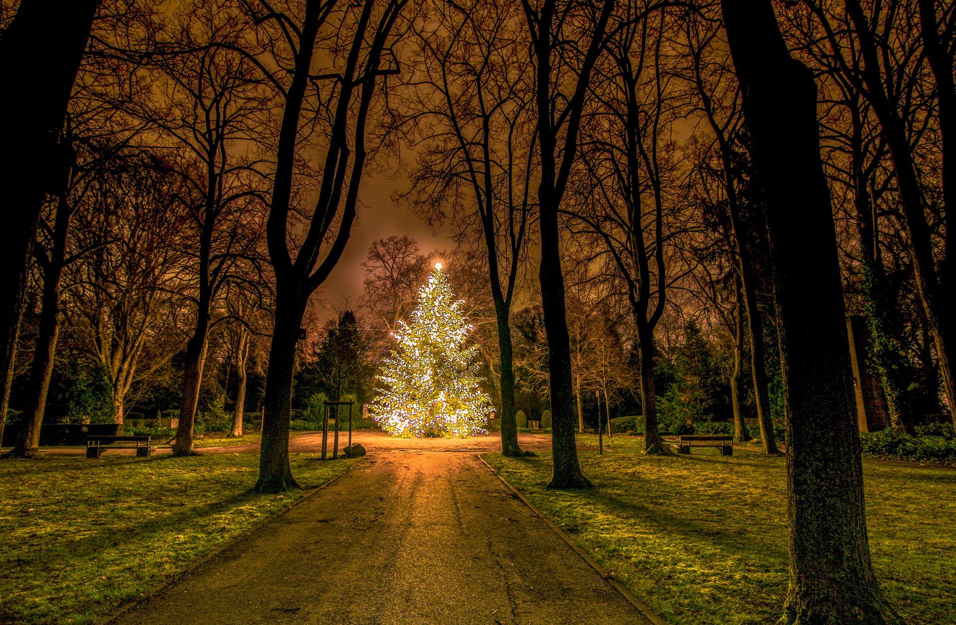 Weihnachtsbaum in Pforzheim