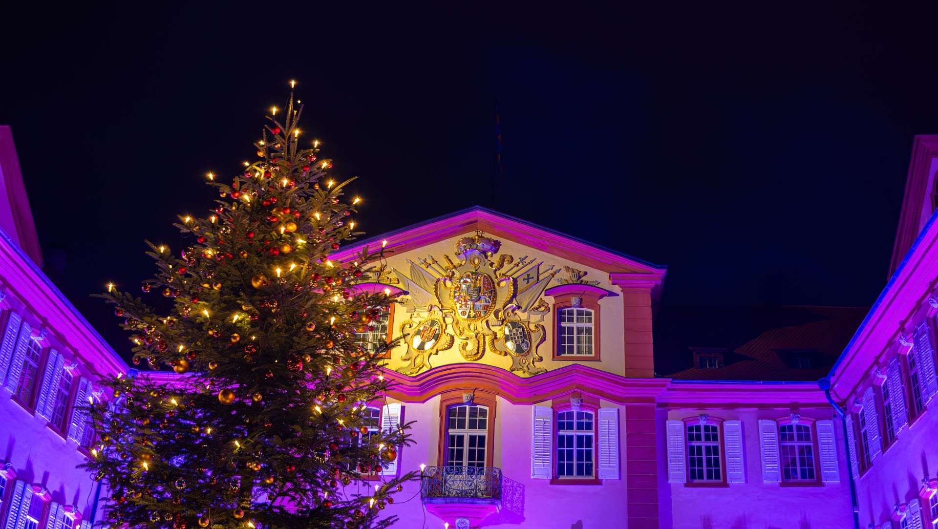 Mainau, Germany - December 27, 2023: A Christmas garden - Christmas event with beautiful light creations and illuminations on the island of Mainau on Lake Constance