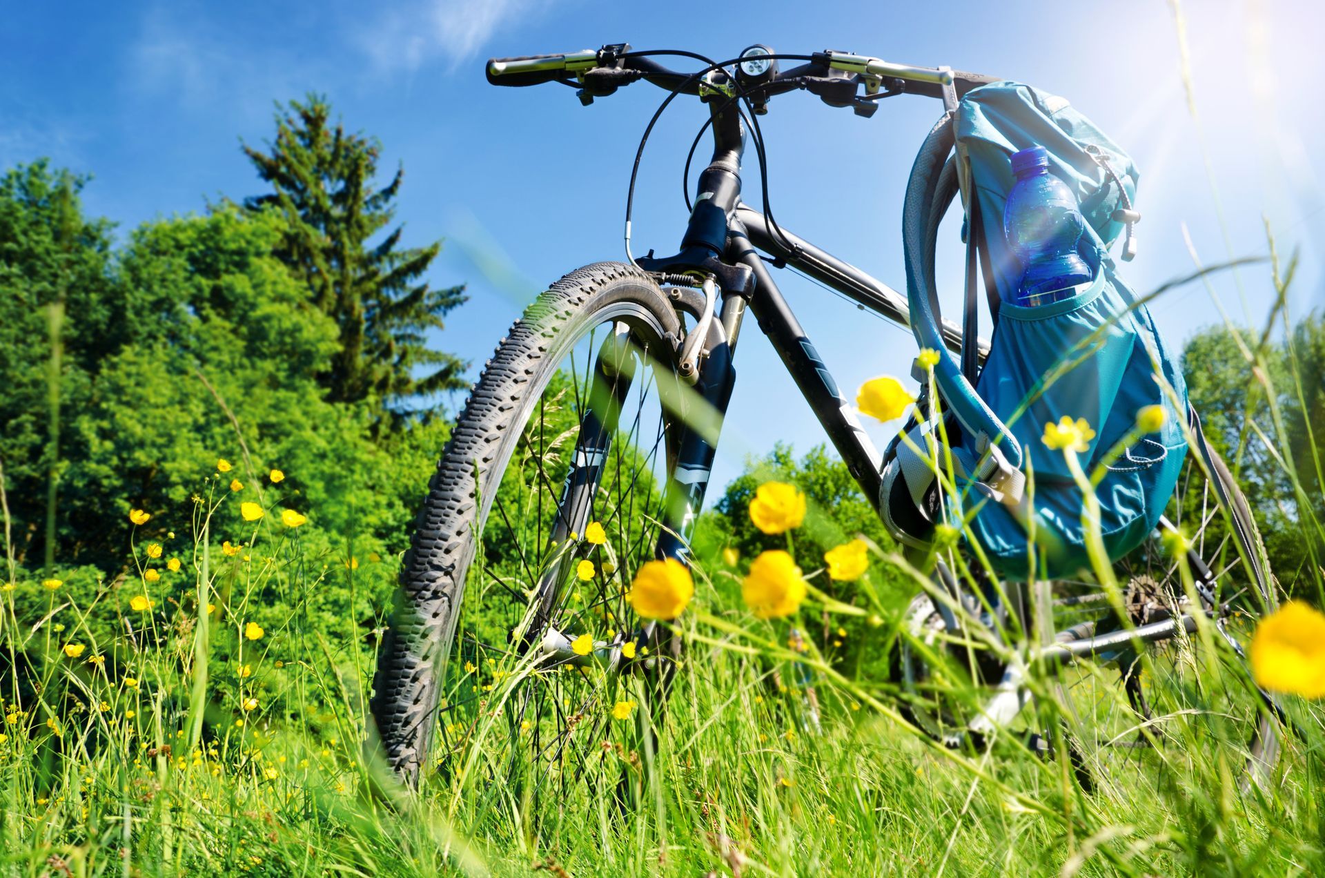Fahrrad Ausflug Erholung Sommer – Bike in Nature Landscape