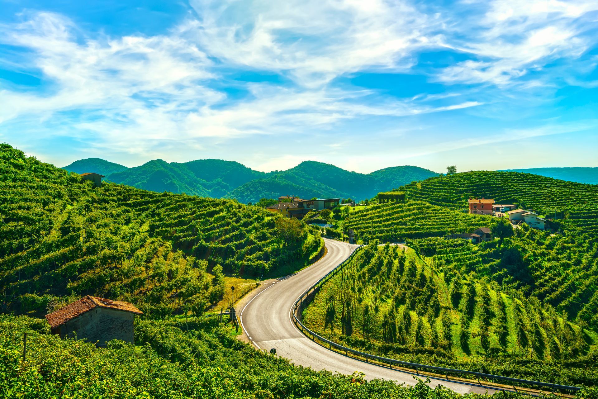 Vineyards and road. Prosecco Hills, Unesco Site. Valdobbiadene, Veneto, Italy
