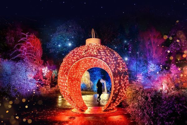 christmas-garden-insel-mainau-2025-artwork