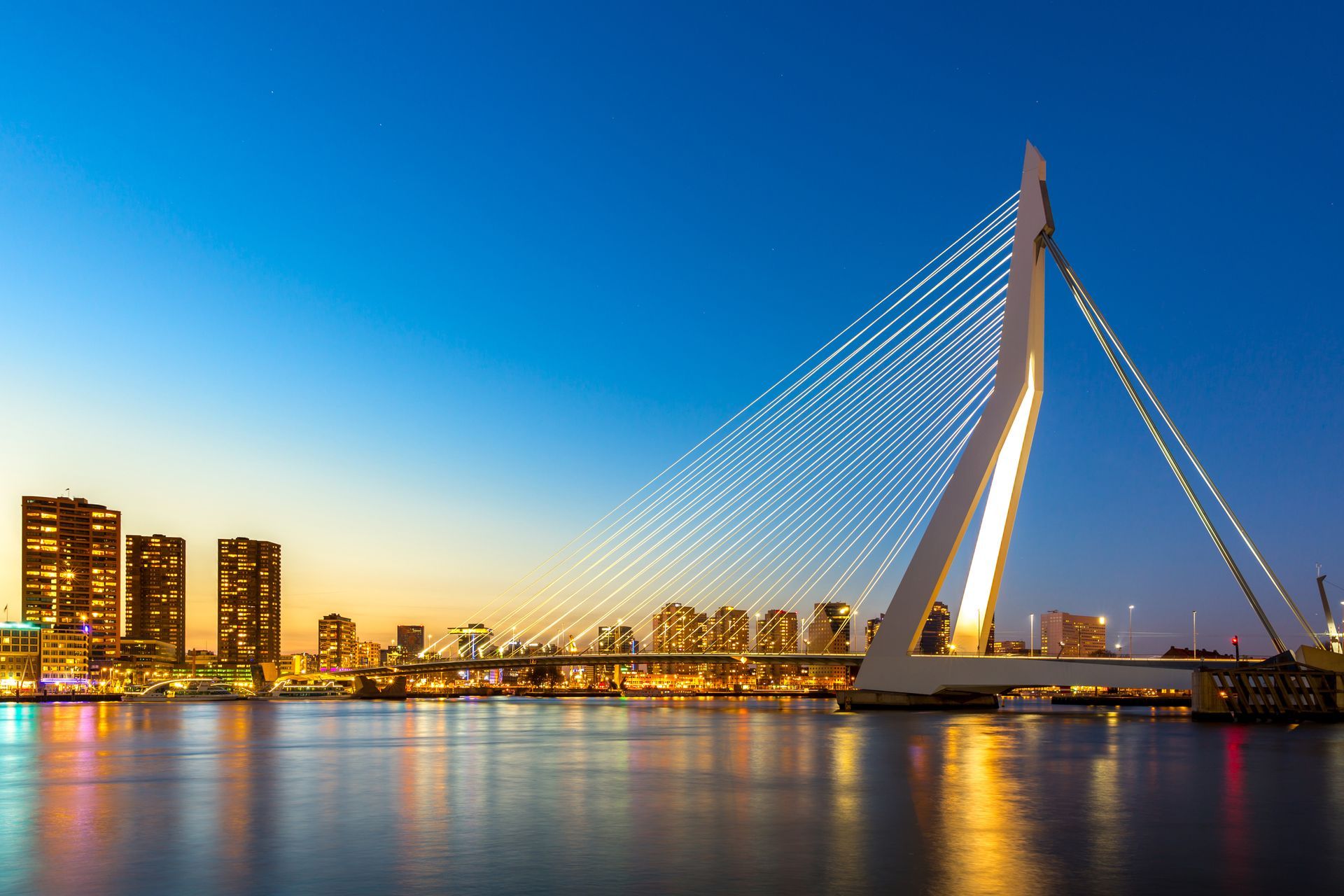 Erasmus bridge Rotterdam