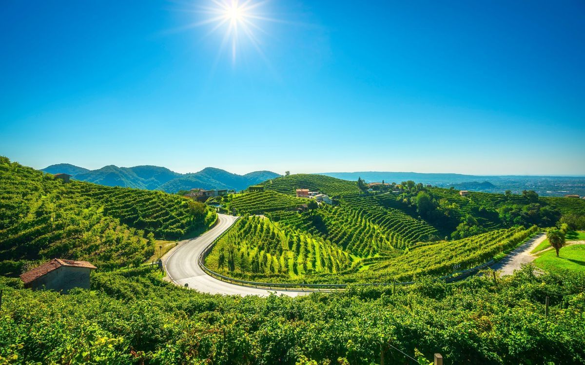 Vineyards and road. Prosecco Hills, Unesco World Heritage Site. Valdobbiadene, Veneto, Italy