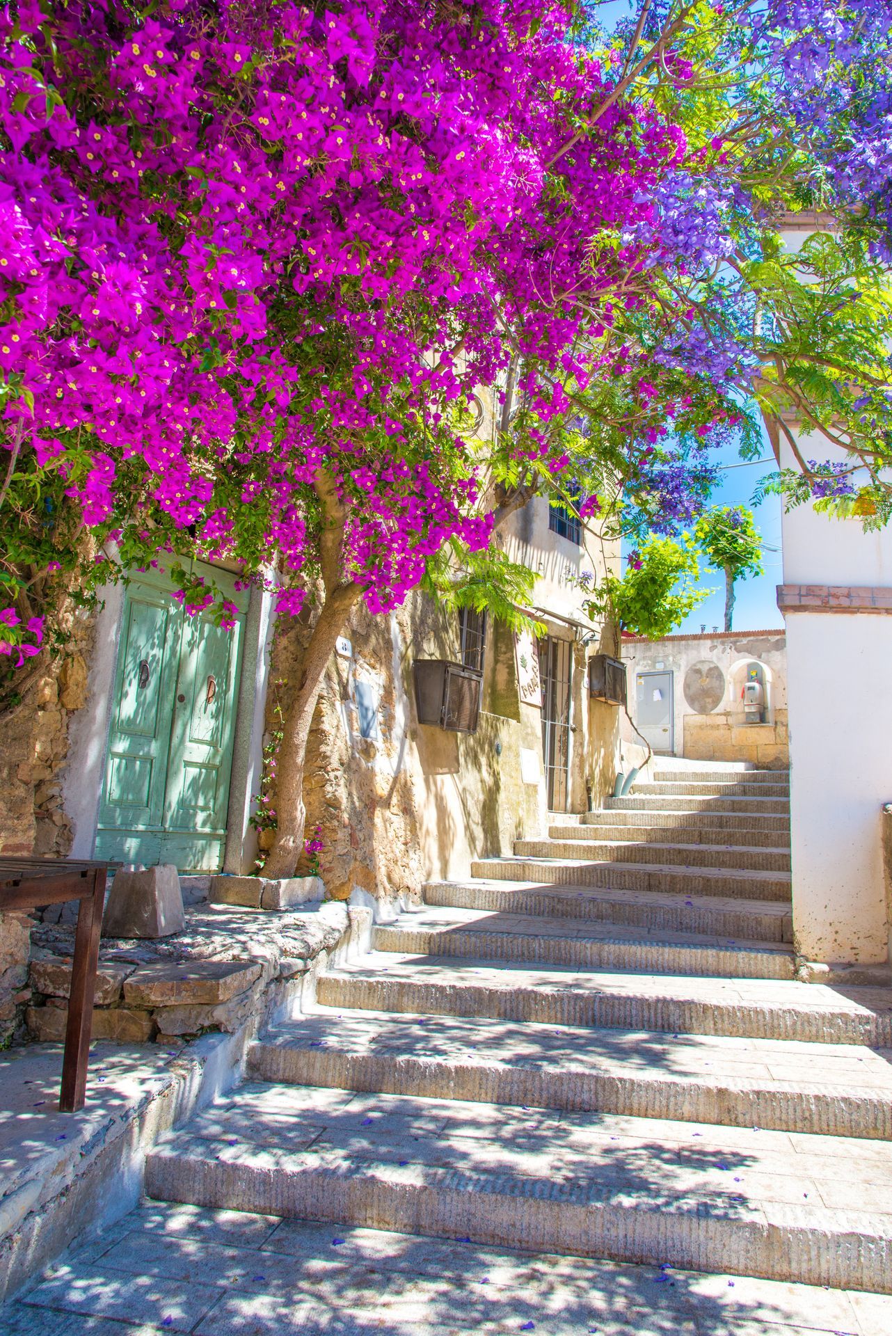 Street with flower of Capoliveri village in Elba island, Tuscany, Italy, Europe.